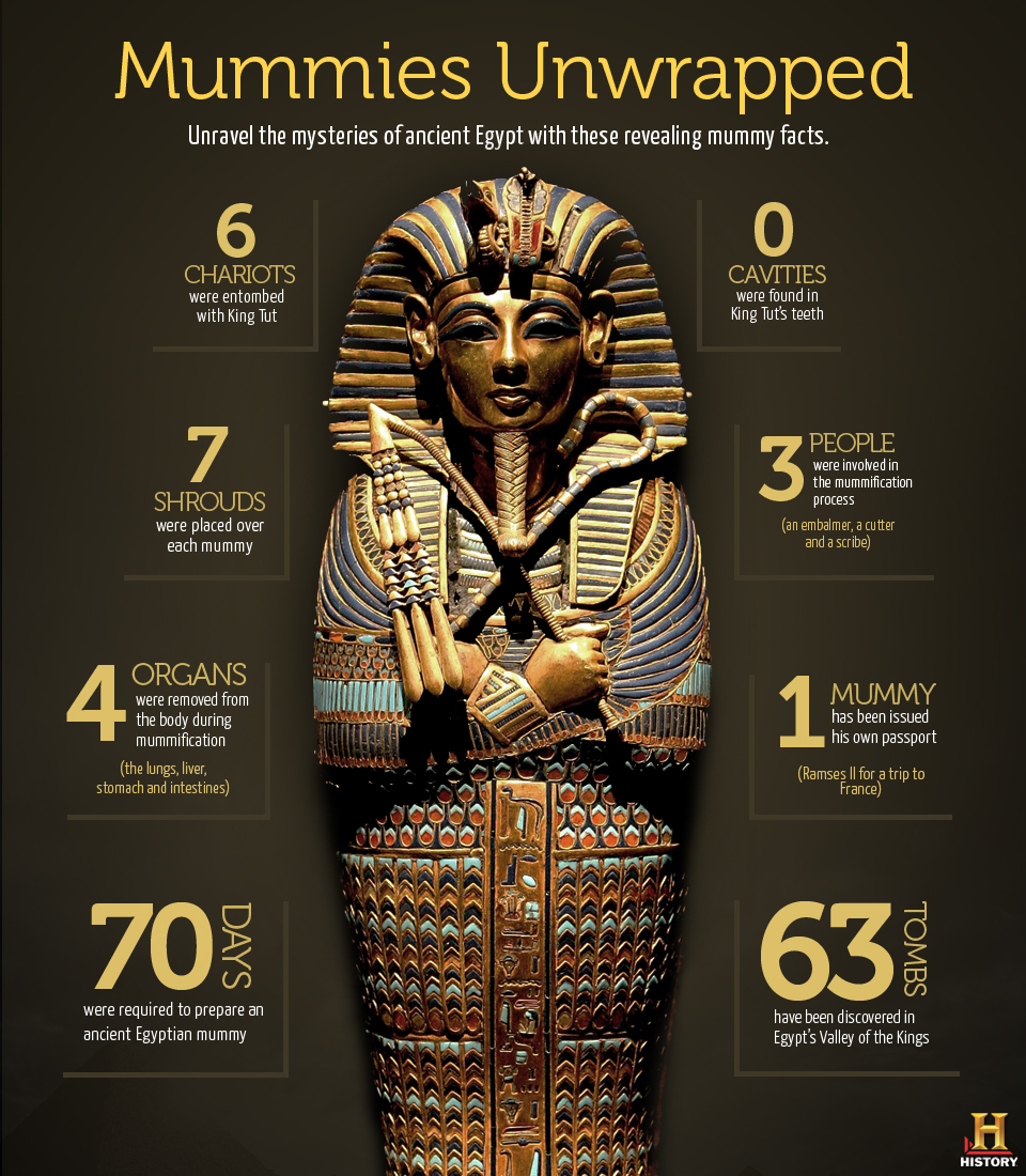 Mummies Unwrapped Infographic