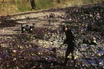 History's Worst Oil Spills Video — History.com