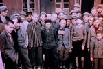 The Holocaust Video — History.com