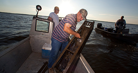 Troy Landry fishing in the Lousiana bayou