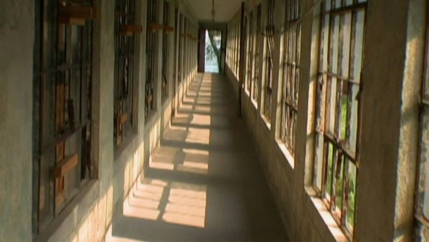 The Dark Underbelly of Ellis Island