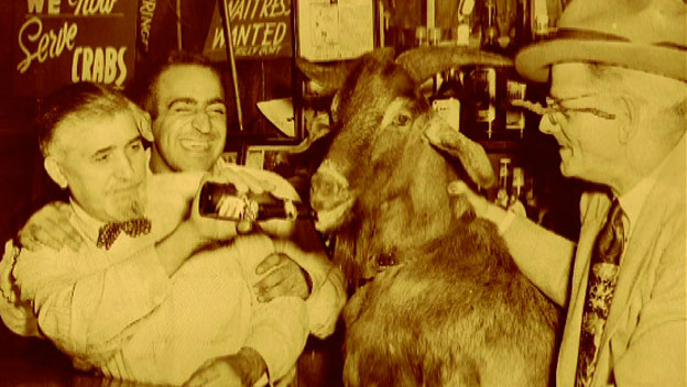 'Billy Goat' Curse Haunts Cub Fans