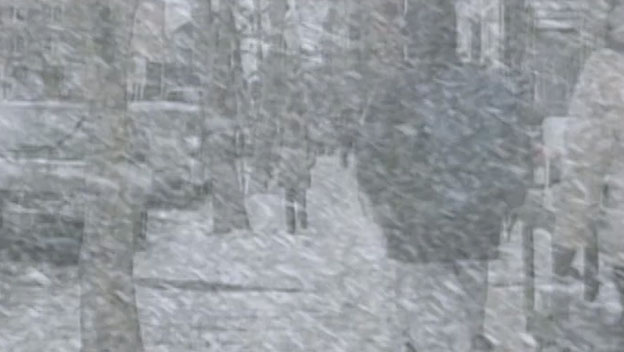 Mega Disasters: Mega Freeze