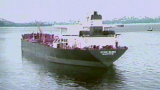 Exxon Valdez Oil Spill