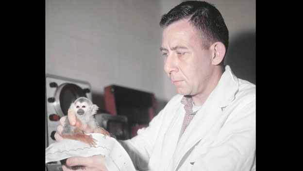 Monkeys Travel to Space