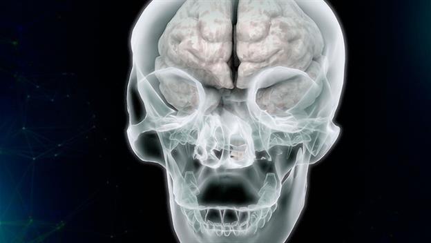 Big History: Brain Boost