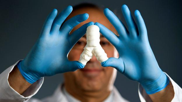 The Steps to Immortality