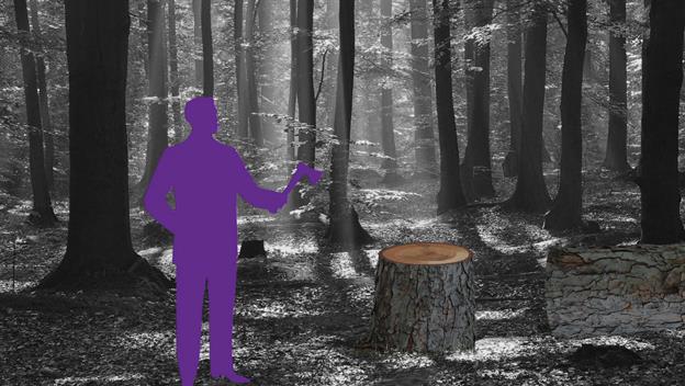 America 101: What is a Stump Speech?