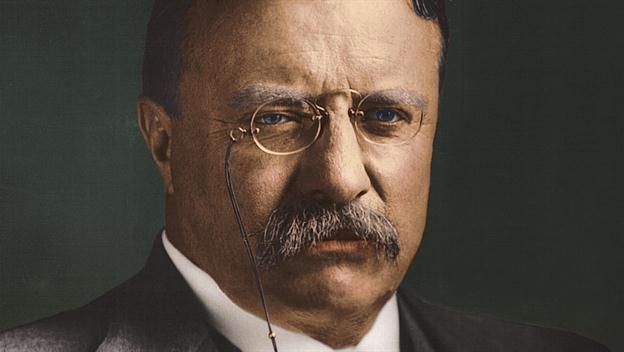 Image result for theodore roosevelt