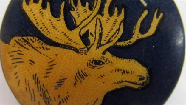 Theodore Roosevelt Joins Bull Moose Party