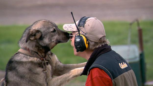 Modern Marvels: Dogs