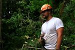 Ax Men: Big Gun Comes Back