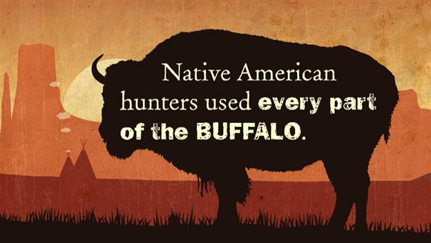The Buffalo and Native Americans