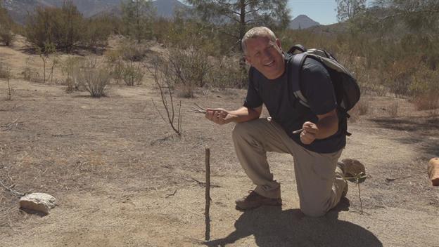 The Human Calculator: Doomsday Decoded