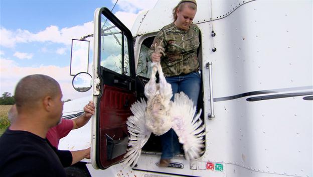 Big Rig Bounty Hunters - Season 1 - 720p - HDTV Download