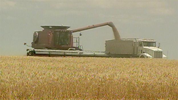 Modern Marvels: Wheat