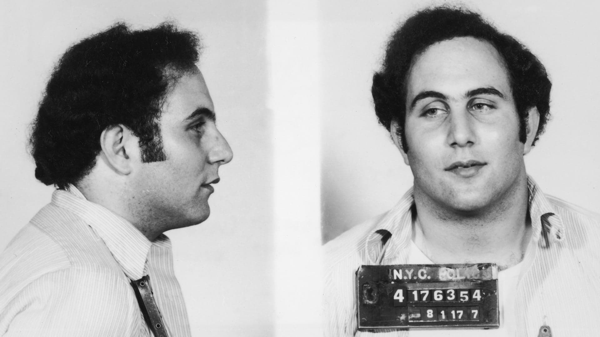 Fatal Ford Pinto crash in Indiana August 10, 1978 HISTORY